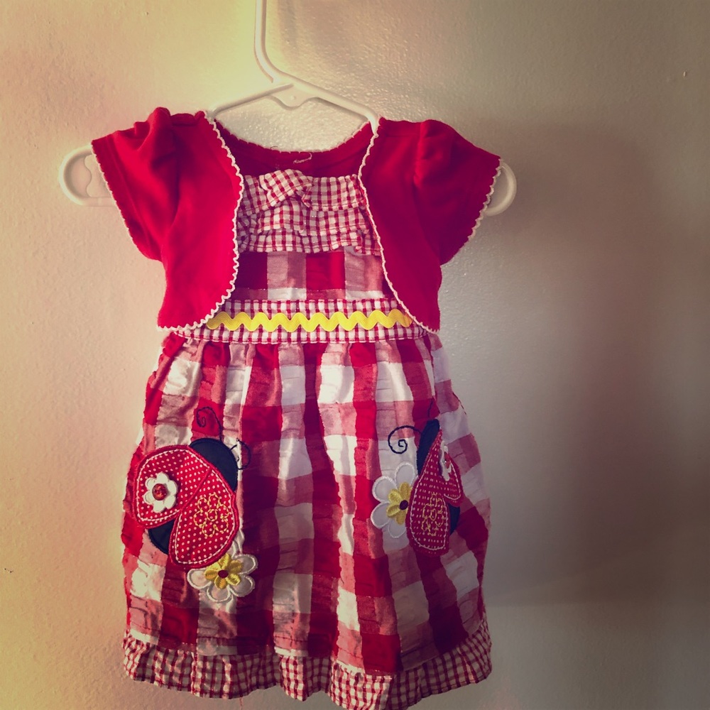 Fun Lady Bug Dress